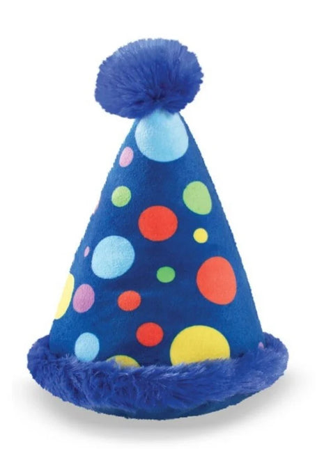 Feest hoedje