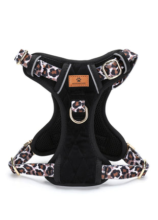 Set  Leopard Diamond tuigje met riem