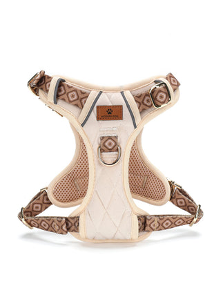 Set  Desert Diamond tuigje met riem