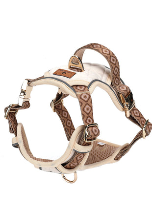 Set  Desert Diamond tuigje met riem