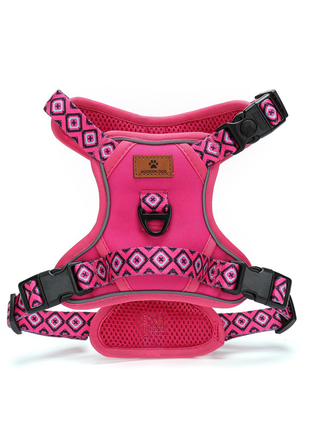 Set  Rebel Rose tuigje met riem