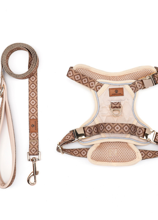 Set  Desert Diamond tuigje met riem