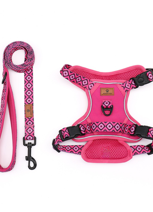 Set  Rebel Rose tuigje met riem