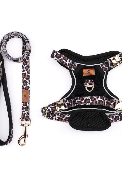 Set  Leopard Diamond tuigje met riem