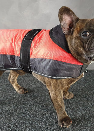 Winterjas waterproof eisbär rood-zwart — 40