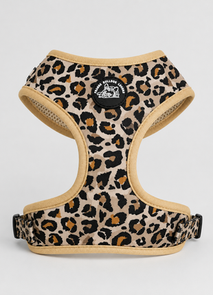 French Panter Franse Bulldog Ytuig met riem