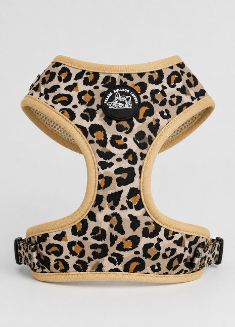 French Panter Franse Bulldog Ytuig met riem