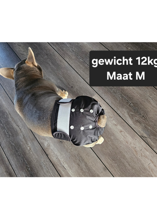 Loopsheidbroekje Zwart maat M