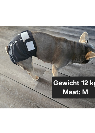 Loopsheidbroekje Zwart maat M