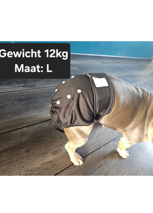 Loopsheidbroekje Zwart maat M