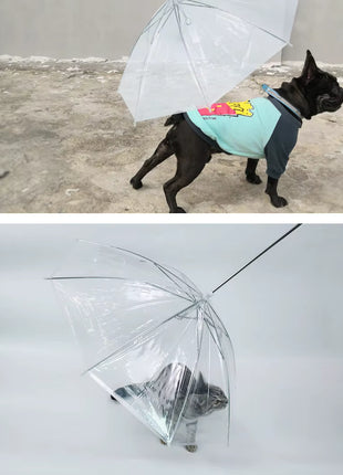Transparante Paraplu voor honden