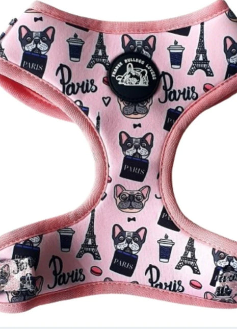 Set franse bulldog Parijs