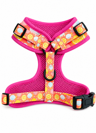 Pink lemonade Franse Bulldog Ytuig met riem