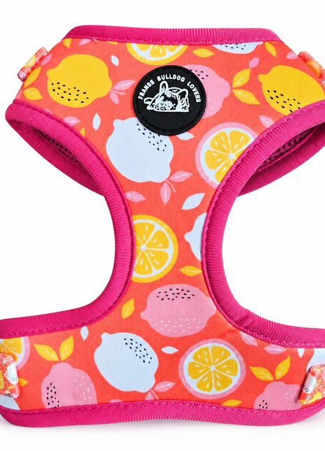Pink lemonade Franse Bulldog Ytuig met riem