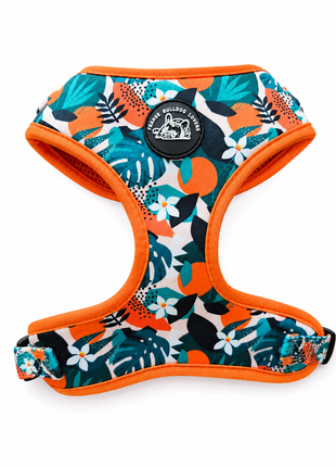 Tropical Tango Franse Bulldog Ytuig met riem