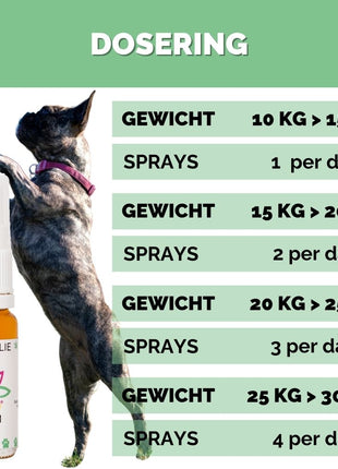 Hennepolie Mediumdogs CannaBioDay 10 - 30 kg