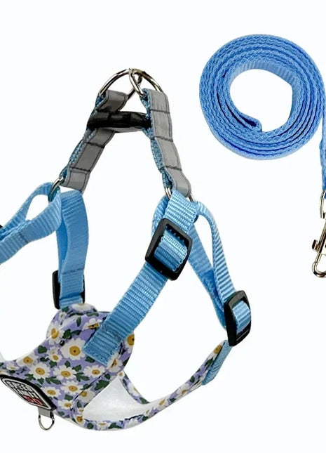 Instaptuigje voor pups Blue Flower