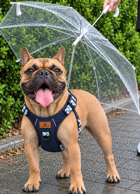 Transparante Paraplu voor honden