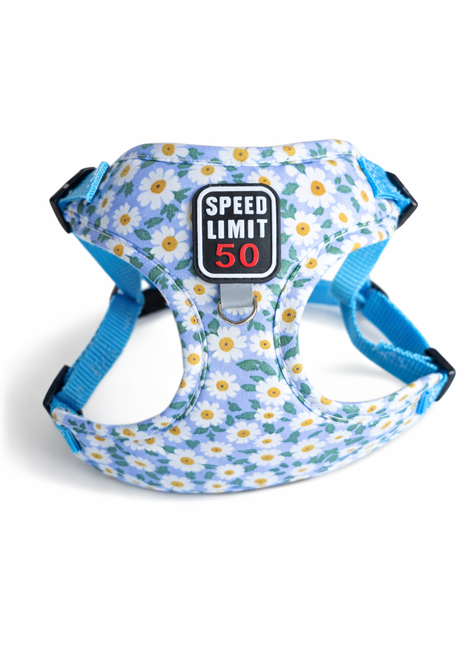 Instaptuigje voor pups Blue Flower