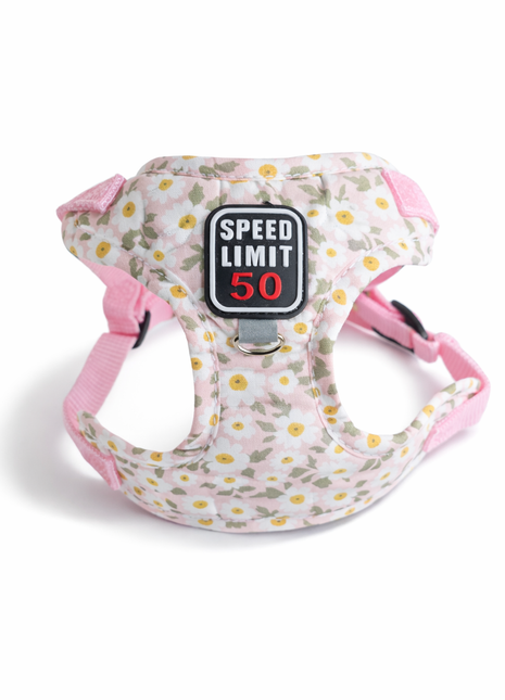 Instaptuigje voor pups Pink Flower