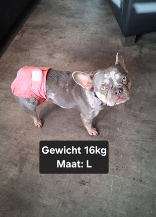 Loopsheidbroekje Roze maat L