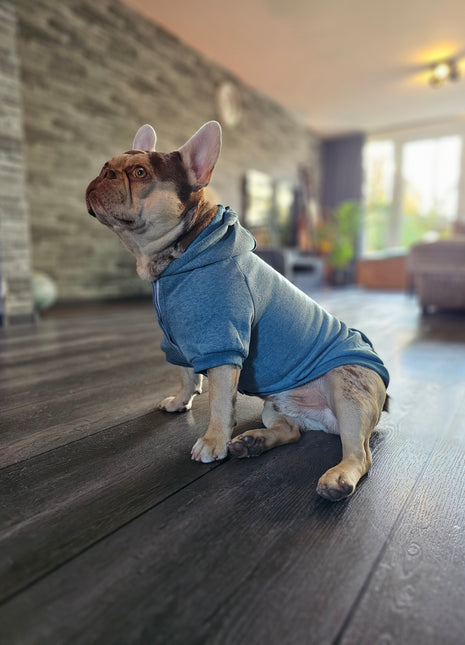 Trixie Be Nordic hoodie petrol