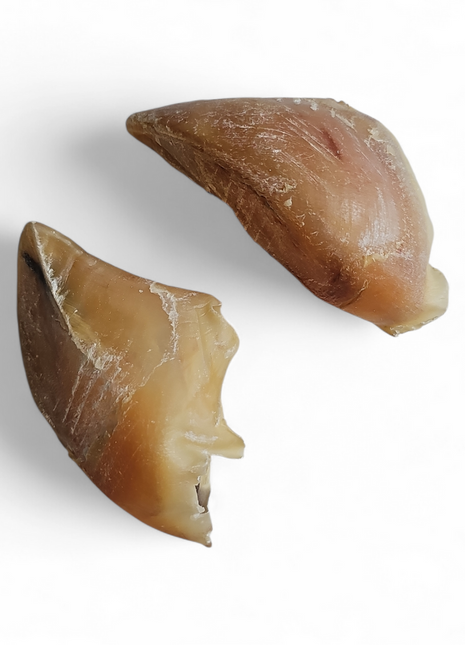 Runderhoeven 6 stuks